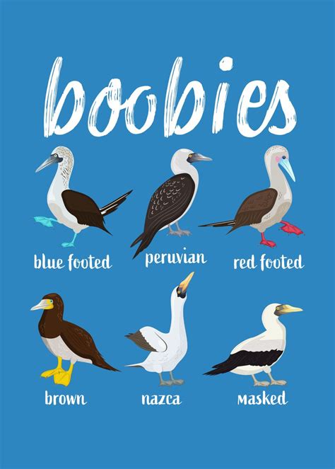 little boobies|The 10 Types of Boobs — Here's What to Know, According to Ob .